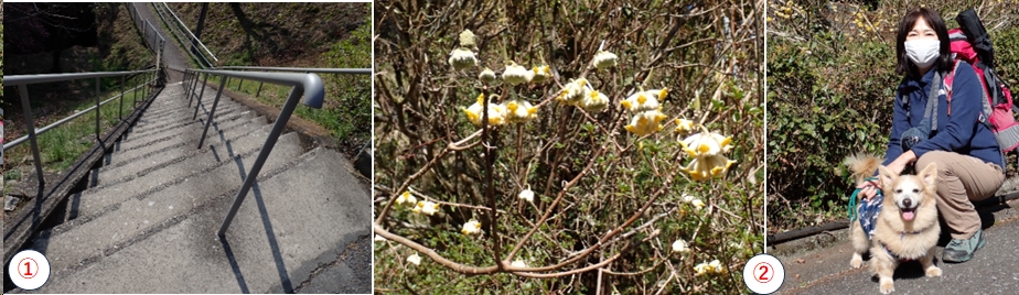 2026.03.17izugatake1