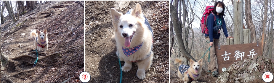 2026.03.17izugatake4