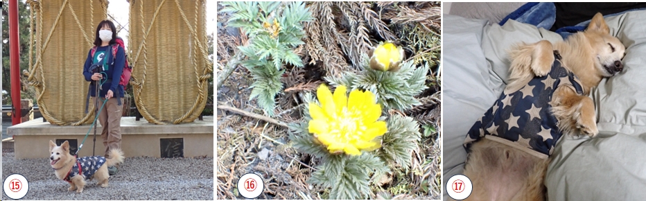 2026.03.17izugatake7