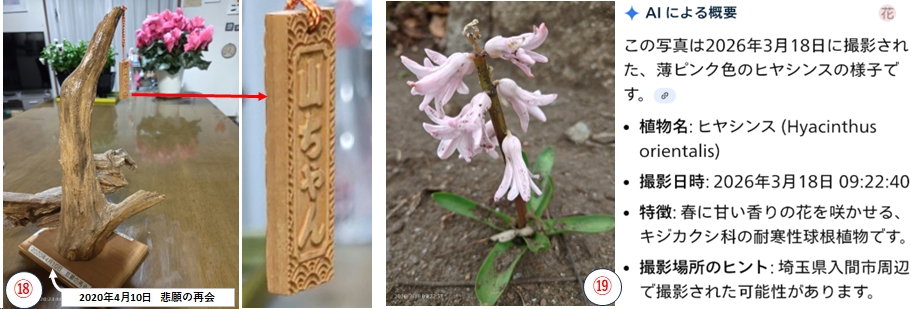 2026.03.17izugatake8