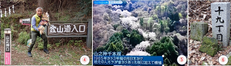 2026.03.29tairayama3