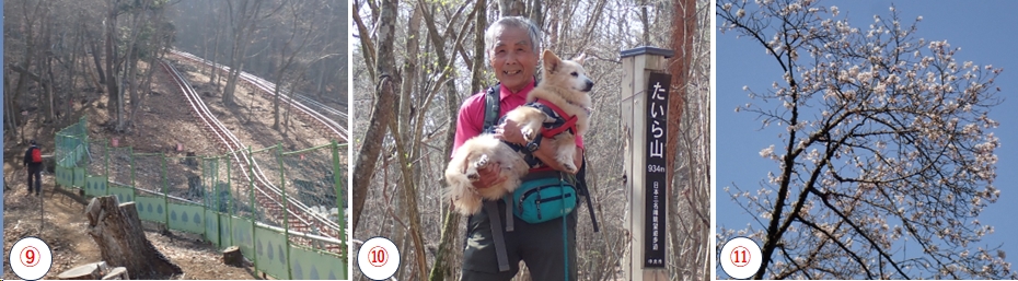 2026.03.29tairayama5