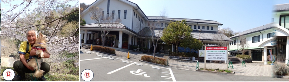 2026.03.29tairayama6