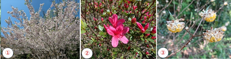 2026.04.12ootakatoriyama1