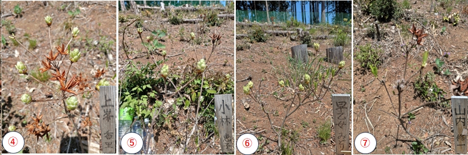 2026.04.12ootakatoriyama11