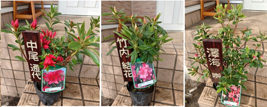 2026.04.12ootakatoriyama3