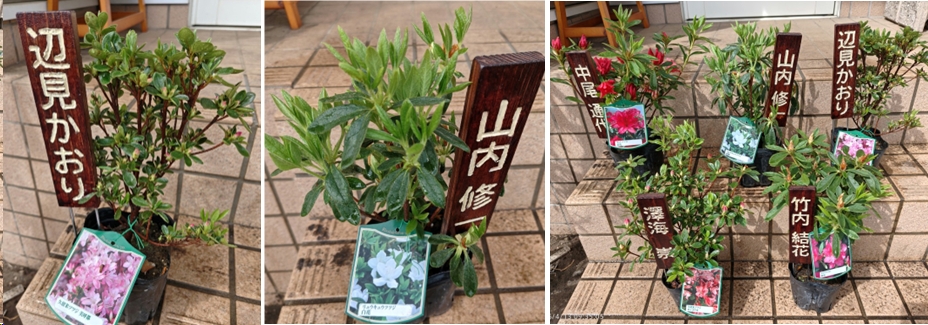 2026.04.12ootakatoriyama4