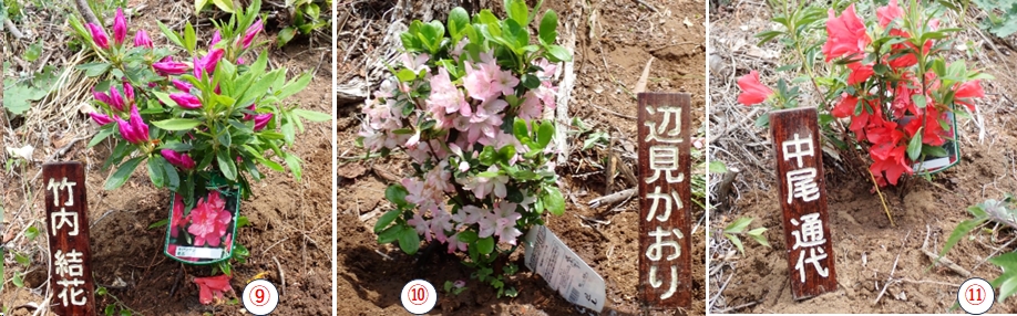 2026.04.26ootakatoriyama4