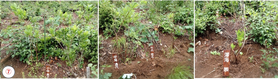 2026.05.24ootakatoriyama3
