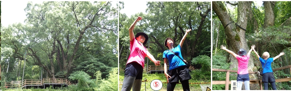 2026.07.15ootakatoriyama3