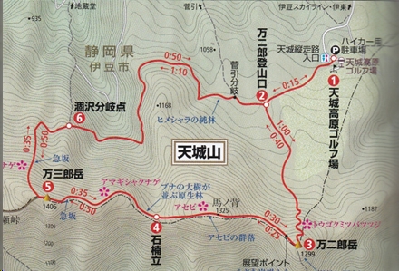amagisan