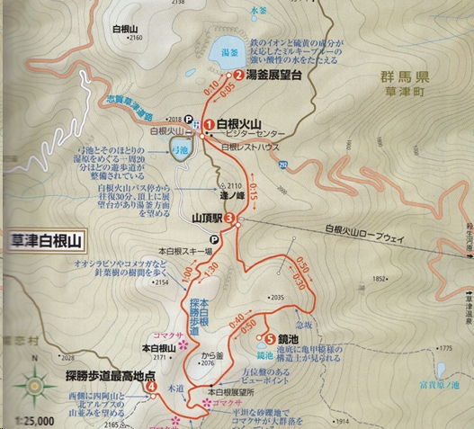 kusatushirane