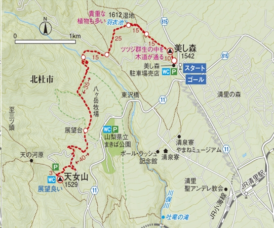 tennyosan