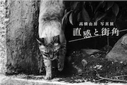 チラシ画像