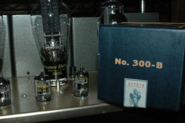 WE 300B