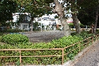 IMG_1107.JPG