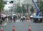 鹿児島「おわら祭り」の尻尾?