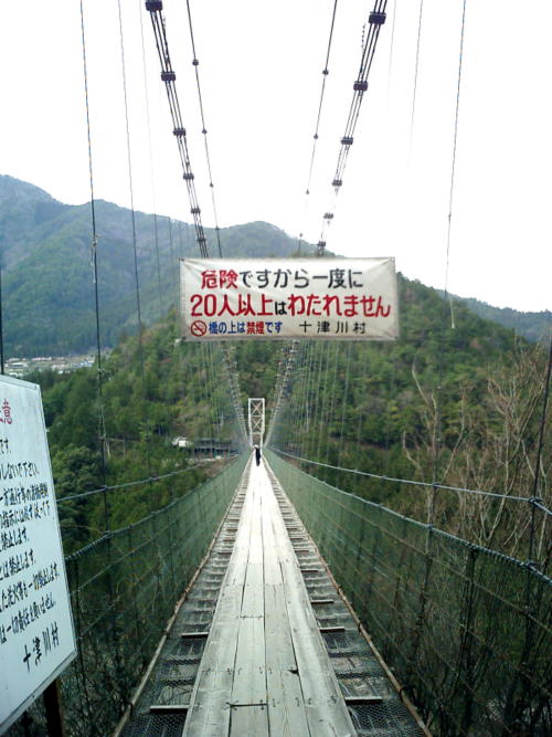�J���̒ނ苴